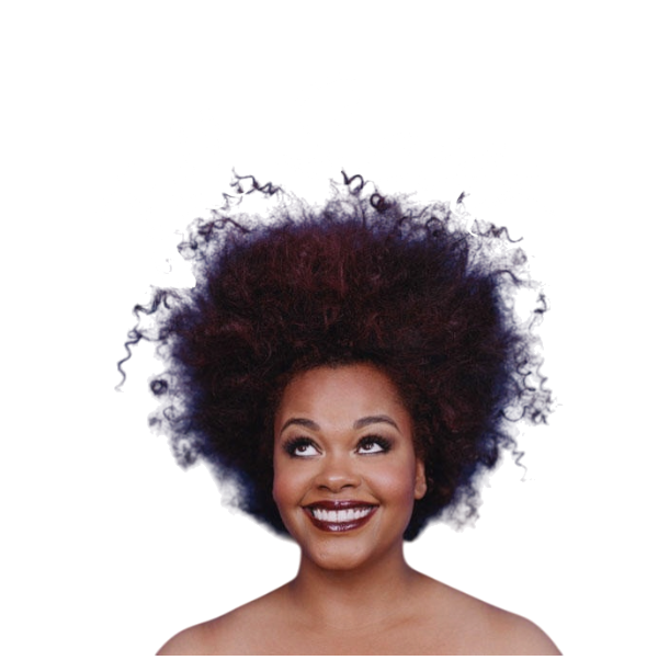 Jill Scott iron on transfers for clothing tshirt and hoodies