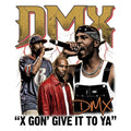 DMX DTF ready to press iron on transfer for clothing t-shirts and hoodies