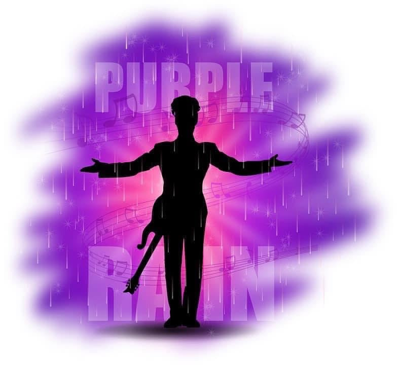 Purple Rain DTF Iron on transfer for clothing t-shirts and hoodies